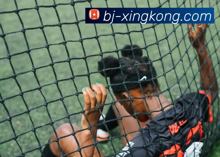 星空体育appAPP 封面图